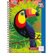 Caderno Quadriculado Jandaia Basic Art 1/4 Espiral Capa Dura 96 Folhas Sortido