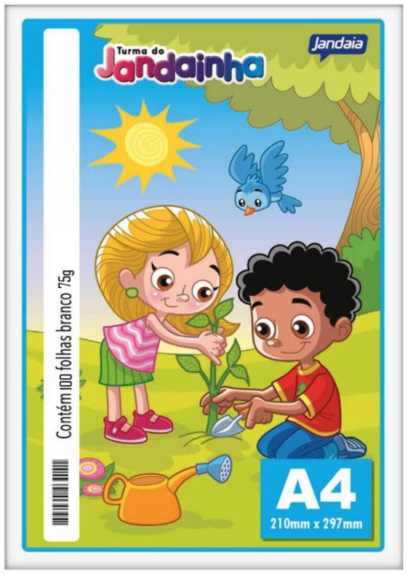 Papel A4 Branco Jandainha 75 Gramas Resma 100 Folhas Jandaia