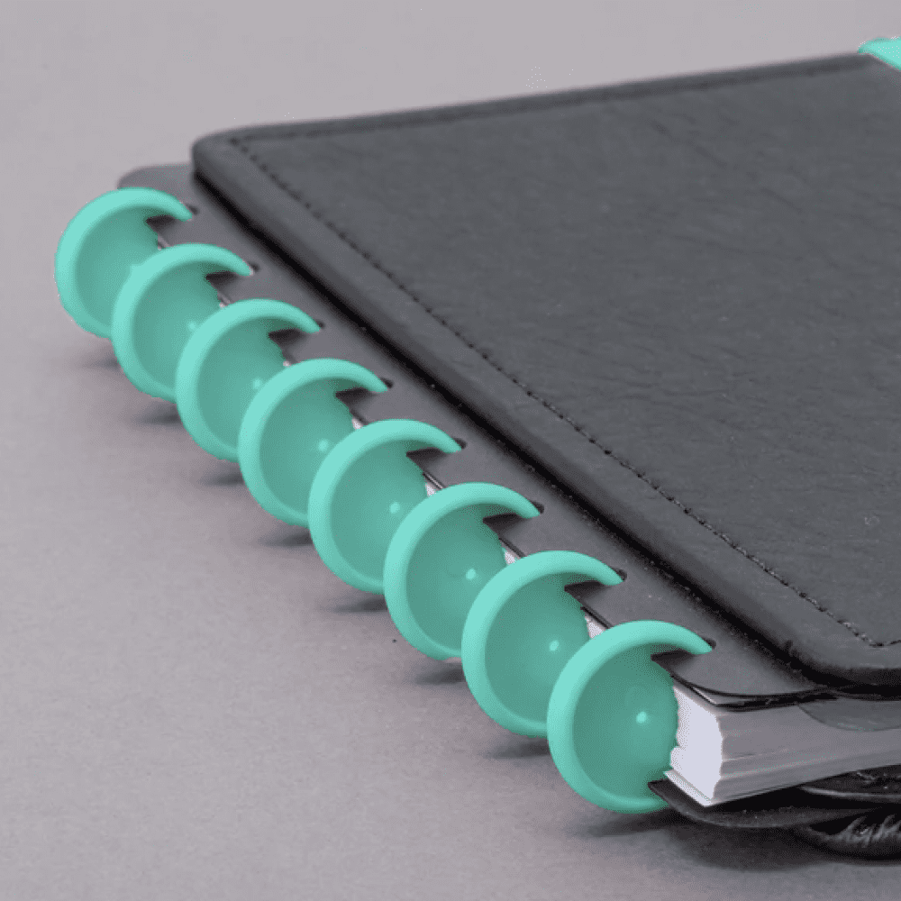 Disco para Caderno Inteligente 12 Discos Médio 23mm com Elástico Verde Pantanal