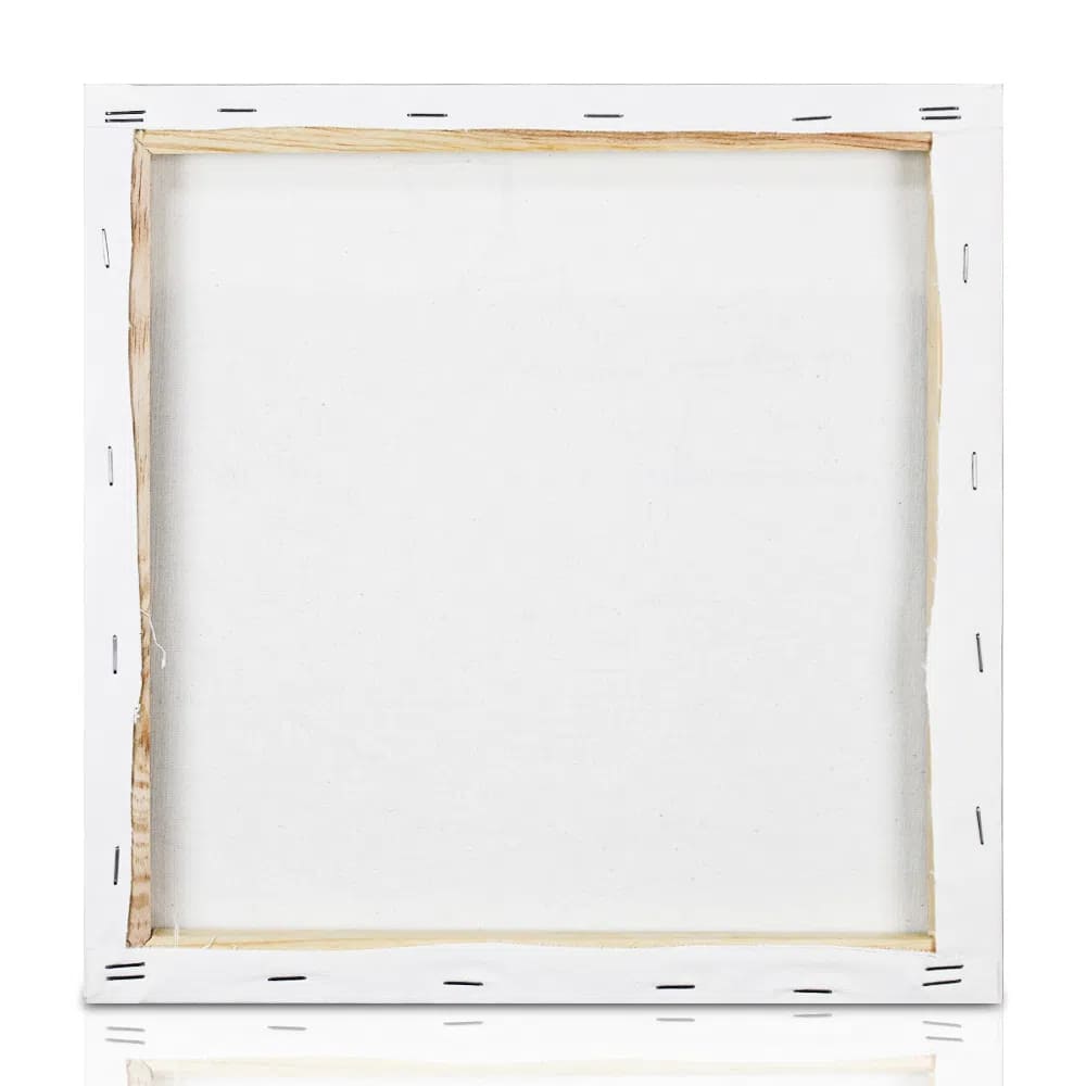 Tela para Pintura Riscada 30x30 Borboleta Souza