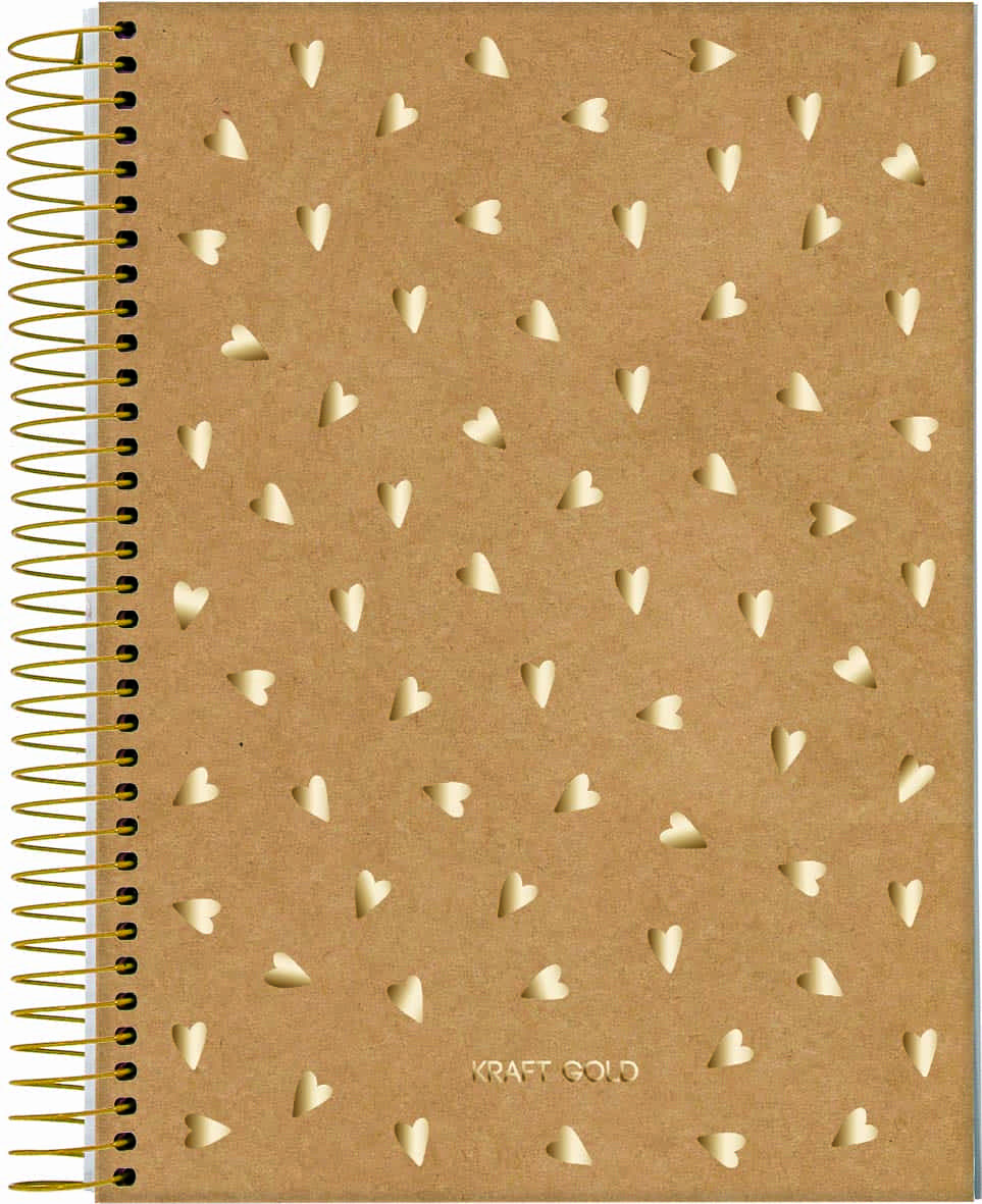 Caderno Universitário Jandaia Kraft Gold Espiral Capa Dura 80 Folhas com 1 Matéria Sortido