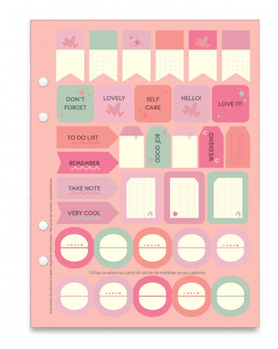 Fichário Colegial Cadersil Argolado Criativo Capa Plástica