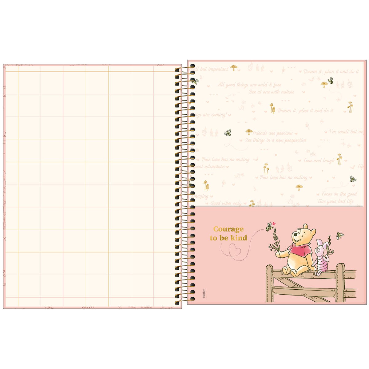 Caderno Universitário Tilibra Pooh 80 Folhas 1 Matéria Grande Sortido